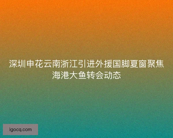 深圳申花云南浙江引进外援国脚夏窗聚焦海港大鱼转会动态 深圳申花云南浙江引进外援国脚夏窗聚焦海港大鱼转会动态
