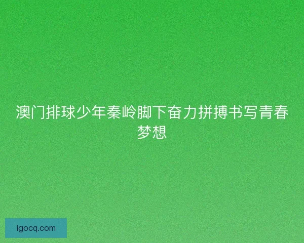 澳门排球少年秦岭脚下奋力拼搏书写青春梦想 澳门排球少年秦岭脚下奋力拼搏书写青春梦想