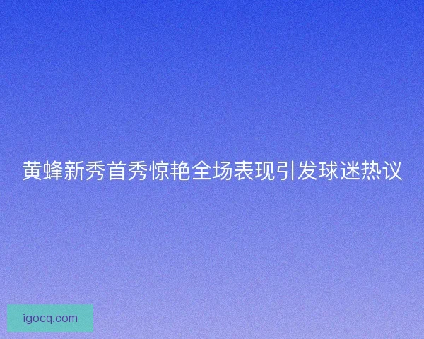 黄蜂新秀首秀惊艳全场表现引发球迷热议